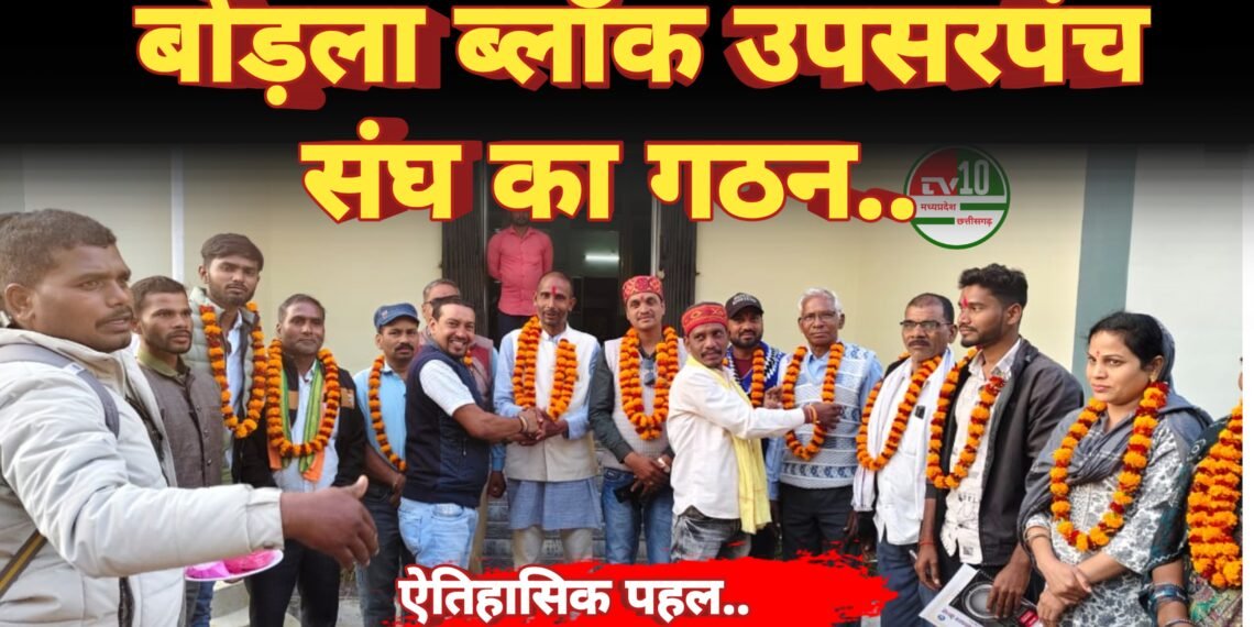 बोड़ला ब्लॉक उपसरपंच संघ का गठन, ग्राम पंचायत बद्दो में दी गई विस्तृत जानकारी