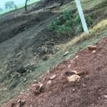 IMG 20260723 WA0071