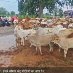 IMG 20260917 WA0032