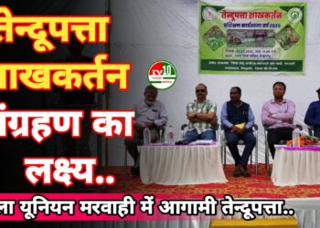 तेन्दूपत्ता शाखकर्तन पर कार्यशाला का आयोजन, इस वर्ष 22 हजार मानक बोरा संग्रहण का लक्ष्य