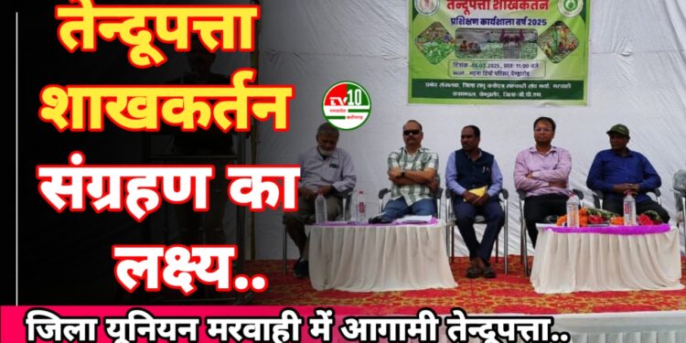 तेन्दूपत्ता शाखकर्तन पर कार्यशाला का आयोजन, इस वर्ष 22 हजार मानक बोरा संग्रहण का लक्ष्य