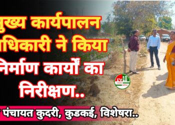 मुख्य कार्यपालन अधिकारी ने किया निर्माण कार्यों का निरीक्षण, आजीविका गतिविधियों को सराहा