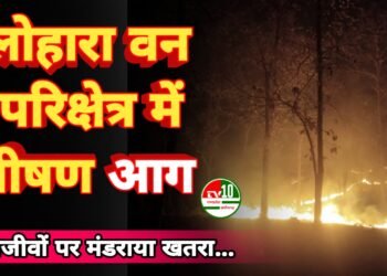 लोहारा वन परिक्षेत्र में भीषण आग: वन विभाग की लापरवाही से वन्यजीवों पर मंडराया खतरा*