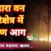 लोहारा वन परिक्षेत्र में भीषण आग: वन विभाग की लापरवाही से वन्यजीवों पर मंडराया खतरा*