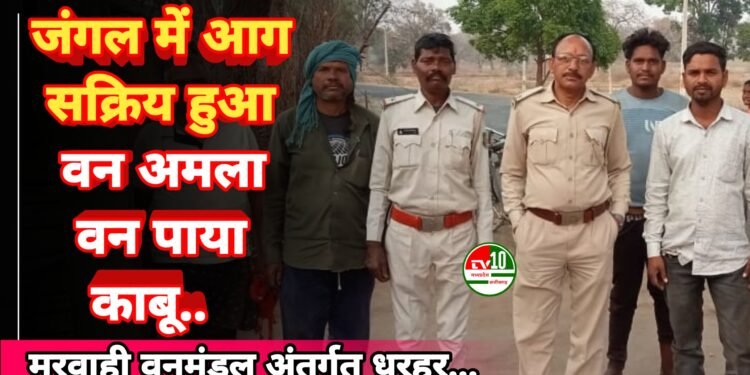 मरवाही वनमंडल के धरहर गांव के जंगल में लगी आग, वन अमले की तत्परता से पाया गया काबू