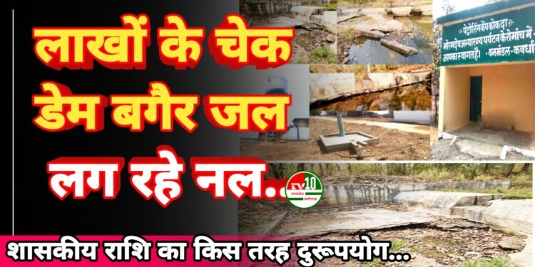 लाखों के चेकडेम निर्माण के महज कुछ महिनो में ही तोड़ा दम, बगैर जल लग रहे नल, बन रही लाखों की पानी टंकी 