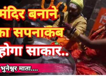 एक सनातनी साधना, एक मां का सपना और जनकल्याण की अनकही तपस्या 4 एक सनातनी साधना, एक मां का सपना और जनकल्याण की अनकही तपस्या