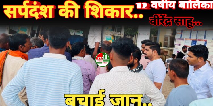 सर्पदंश की शिकार 12 वर्षीय बालिका को भाजपा नेता वीरेंद्र साहू ने दिलाई नई जिंदगी, हरसंभव मदद कर बचाई जान