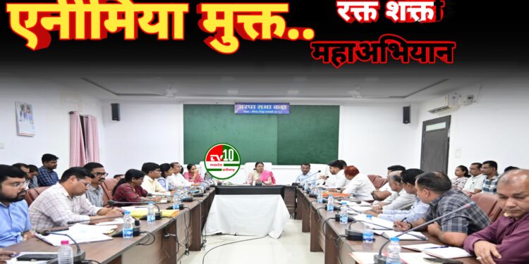 कलेक्टर लीना कमलेश मंडावी ने साप्ताहिक समय-सीमा बैठक में दिए आवश्यक निर्देश