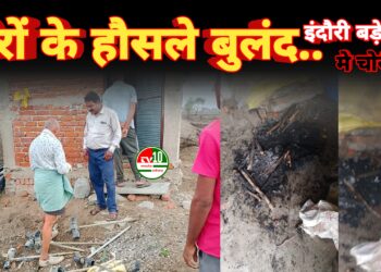 चोरों के हौसले बुलंद, इंदौरी नगर पंचायत के ग्राम बड़े रगरा में किसानों को लगा भारी चूना