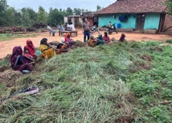 लेमन ग्रास की खुशबू से महकेगा समूह की महिलाओं का भविष्य, स्वसहायता समूहों की महिलाएं 20 एकड़ भूमि पर कर रहीं हैं लेमन ग्रास की खेती