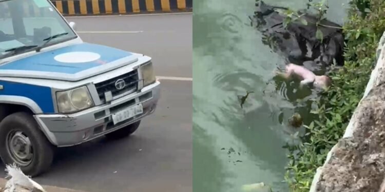 राजधानी रायपुर में तालाब में मिला नवजात का शव, इलाके में फैली सनसनी 1 राजधानी रायपुर में तालाब में मिला नवजात का शव, इलाके में फैली सनसनी