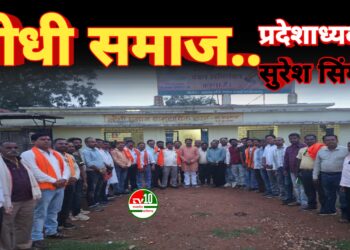 युवाओं के एकता से मूल संगठन को मिलेगी मजबूती – सुरेश सिंगौर प्रदेशाध्यक्ष युवा प्रकोष्ट लोधी समाज