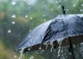 छत्तीसगढ़ में फिर सक्रिय हुआ मानसून, 26 जून से व्यापक बारिश की संभावना मौसम विभाग ने जताई गरज-चमक और वज्रपात की चेतावनी
