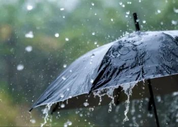 छत्तीसगढ़ में फिर सक्रिय हुआ मानसून, 26 जून से व्यापक बारिश की संभावना मौसम विभाग ने जताई गरज-चमक और वज्रपात की चेतावनी