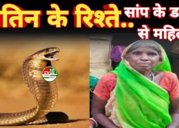 नाग के डसने से महिला की मौत, परिवार में छाया मातम
