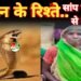 नाग के डसने से महिला की मौत, परिवार में छाया मातम 9 नाग के डसने से महिला की मौत, परिवार में छाया मातम