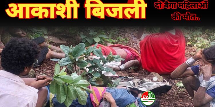आकाशी बिजली गिरने से जंगल में दो बैगा महिलाओं की मौत, गांव में पसरा मातम 1 आकाशी बिजली गिरने से जंगल में दो बैगा महिलाओं की मौत, गांव में पसरा मातम