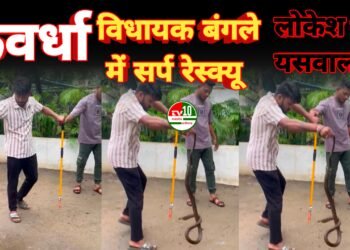 विजय शर्मा के बंगले में घुसा सर्प, बजरंग दल कार्यकर्ता ने किया सफल रेस्क्यू