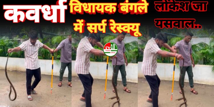 विजय शर्मा के बंगले में घुसा सर्प, बजरंग दल कार्यकर्ता ने किया सफल रेस्क्यू