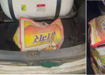 मुखबिर की सूचना पर वन विभाग, पुलिस और एसटीएफ ने तीन तस्करों को दबोचा, कछुए और घड़ियाल की तस्करी के बड़े नेटवर्क का खुलासा हो सकता है