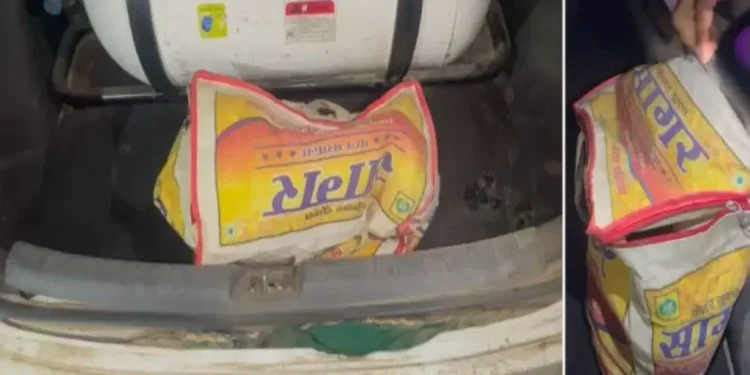 मुखबिर की सूचना पर वन विभाग, पुलिस और एसटीएफ ने तीन तस्करों को दबोचा, कछुए और घड़ियाल की तस्करी के बड़े नेटवर्क का खुलासा हो सकता है 1 मुखबिर की सूचना पर वन विभाग, पुलिस और एसटीएफ ने तीन तस्करों को दबोचा, कछुए और घड़ियाल की तस्करी के बड़े नेटवर्क का खुलासा हो सकता है