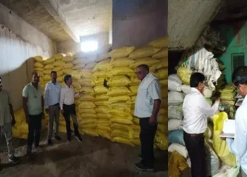 BeFunky design 95 1 1