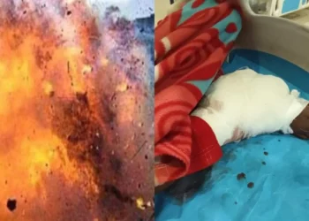 बीजापुर में नक्सलियों के लगाए IED की चपेट में आया नाबालिग, गंभीर रूप से घायल मवेशी चराने गया था जंगल, पैर और चेहरे पर आई गंभीर चोटें