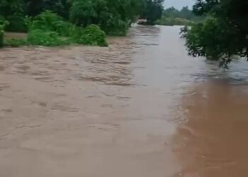 झमाझम बारिश से जनजीवन बेहाल, निचले इलाकों में घुसा पानी, खेत खलिहान डूबे