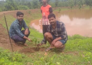 हरेली तिहार पर युवाओं ने लगाया पौधा, बैजलपुर में पर्यावरण संरक्षण का संदेश