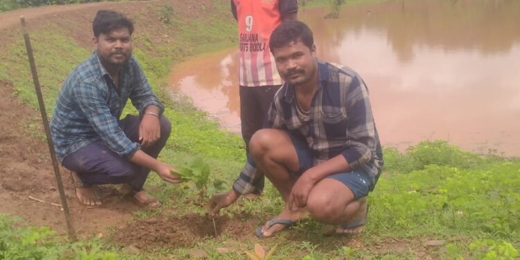 हरेली तिहार पर युवाओं ने लगाया पौधा, बैजलपुर में पर्यावरण संरक्षण का संदेश 1 हरेली तिहार पर युवाओं ने लगाया पौधा, बैजलपुर में पर्यावरण संरक्षण का संदेश