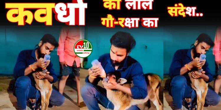 हिंदू वीर हिंदू दुर्गेश देवांगन का बछड़े के प्रति प्रेम ने दिया गौ-रक्षा का संदेश