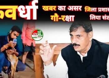 सड़कों पर बैठे गौवंश के कारण हो रहे दुर्घटनाओं की रोकथाम के लिए सभी जनपद पंचायतो को जारी हुआ निर्देश