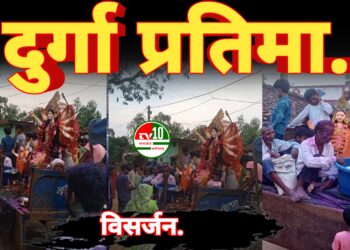 गांव में धूमधाम से मां दुर्गा प्रतिमा का विसर्जन, जयकारों से गूंजा वातावरण