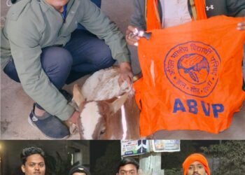 अखिल भारतीय विद्यार्थी परिषद इकाई पंडरिया के द्वारा गौ माता की सेवा