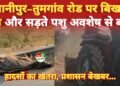 जगह-जगह रोड पर रेत गिरने से राहगीरों को अनहोनी की आशंका व रोड पर पड़ी हुई है पशु की कंकाल