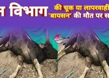 “बच सकता था ‘बायसन’… अगर सिस्टम जागता!