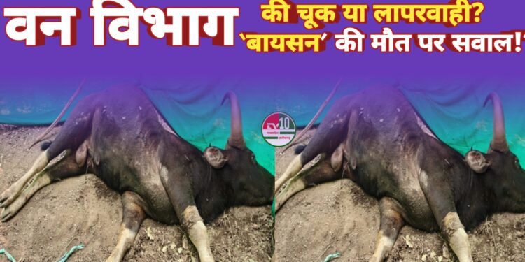 “बच सकता था ‘बायसन’… अगर सिस्टम जागता!