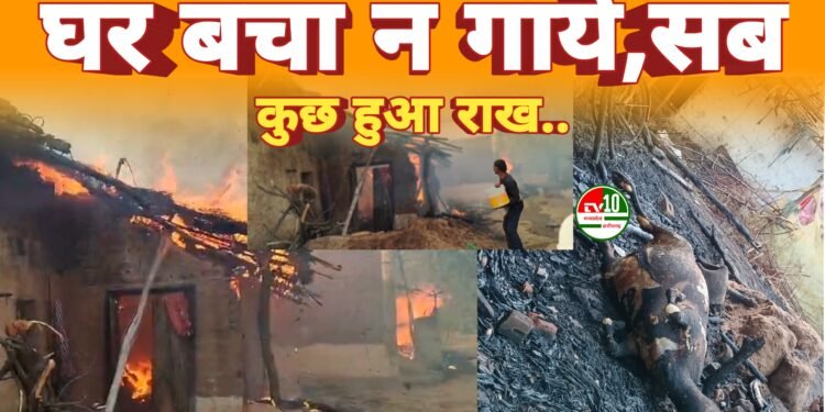 ग्राम पंचायत लोहझरी में शॉर्ट सर्किट से भीषण आग पूरा घर जलकर राख
