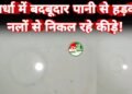 वार्ड नंबर 04 के डालडा पारा में नलों से निकल रहा बदबूदार पानी, कीड़े मिलने से दहशत चिल्फी क्षेत्र में मलेरिया मरीज मिलने के बाद बढ़ी चिंता, स्वच्छ पेयजल व्यवस्था पर उठे सवाल