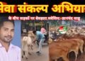 सेवा संकल्प अभियान के बीच सड़कों पर बेसहारा मवेशिय:- युवा कांग्रेस विधानसभा अध्यक्ष प्रत्याशी ज्ञानचंद साहू